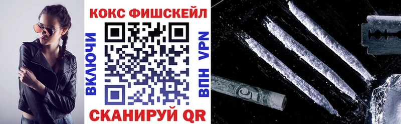 где продают   Елизово  Кокаин Fish Scale 