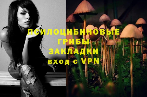 ПСИЛОЦИБИНОВЫЕ ГРИБЫ Алексеевка